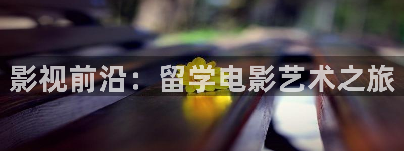 木瓜在線：影視前沿：留學電影藝術之旅